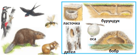Решение рисунок 1