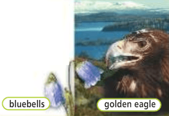 Задание рисунок 2