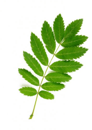 Задание рисунок 4