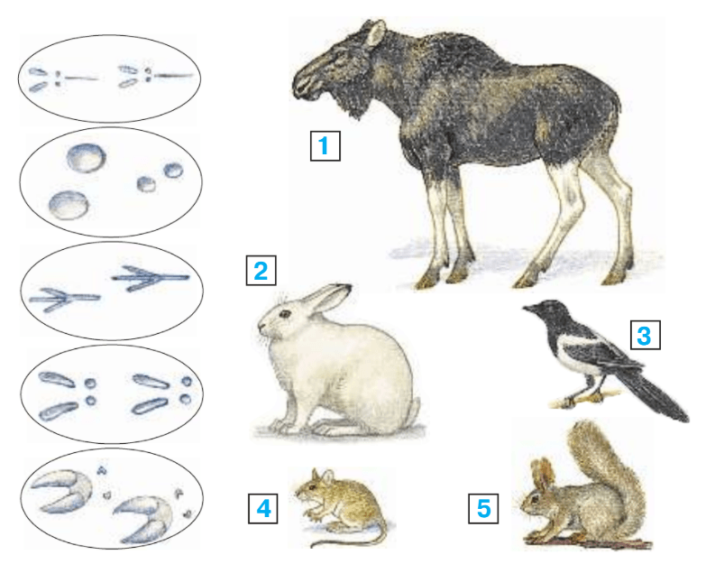 Задание рисунок 1
