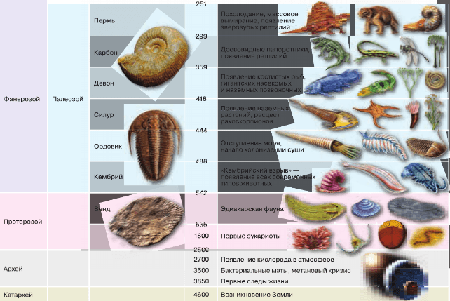 Задание рисунок 2